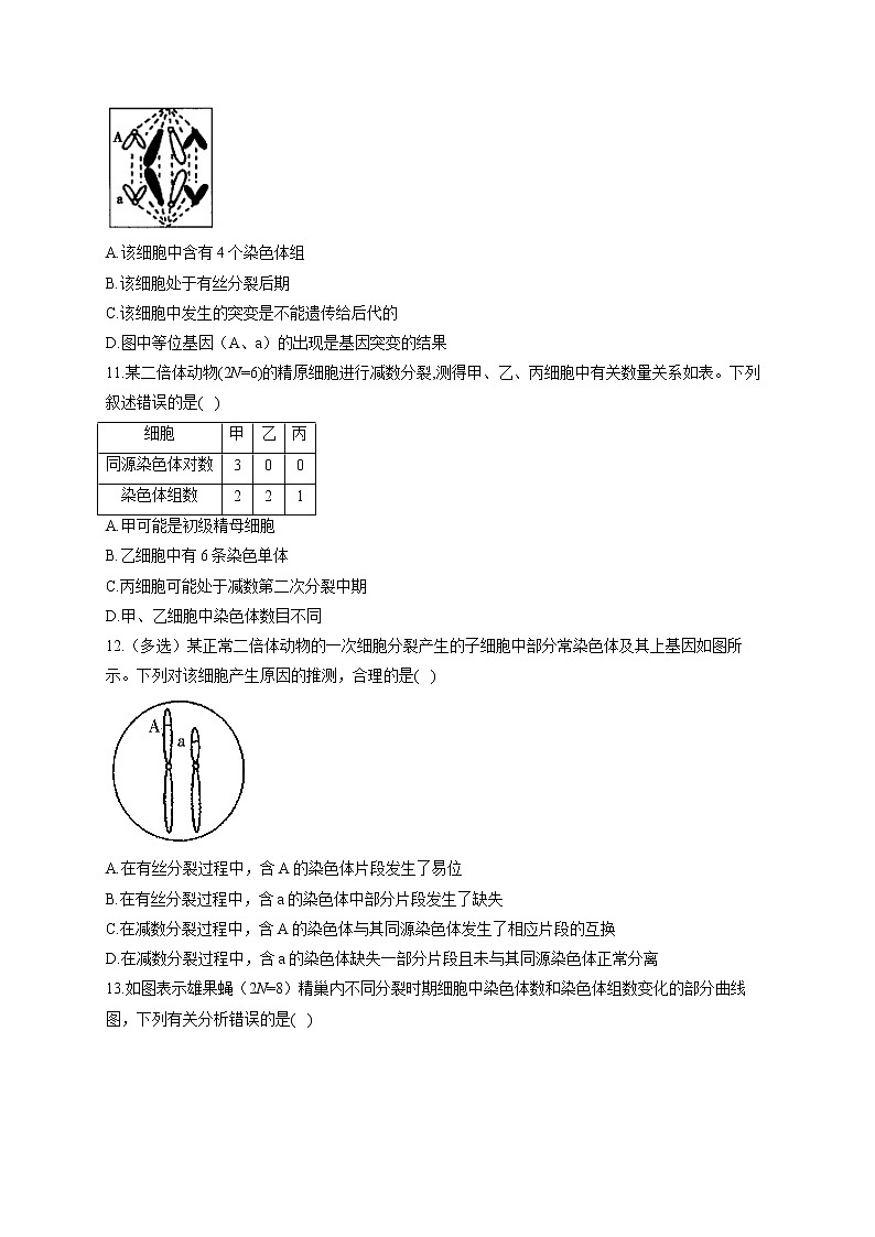 【新课标新高考】2022届高考生物二轮复习专题练AB卷 专题八 遗传的细胞基础(A卷)第3页