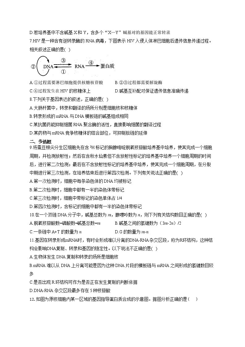 【新课标新高考】2022届高考生物二轮复习专题练AB卷 专题九 遗传的分子基础(A卷)第2页