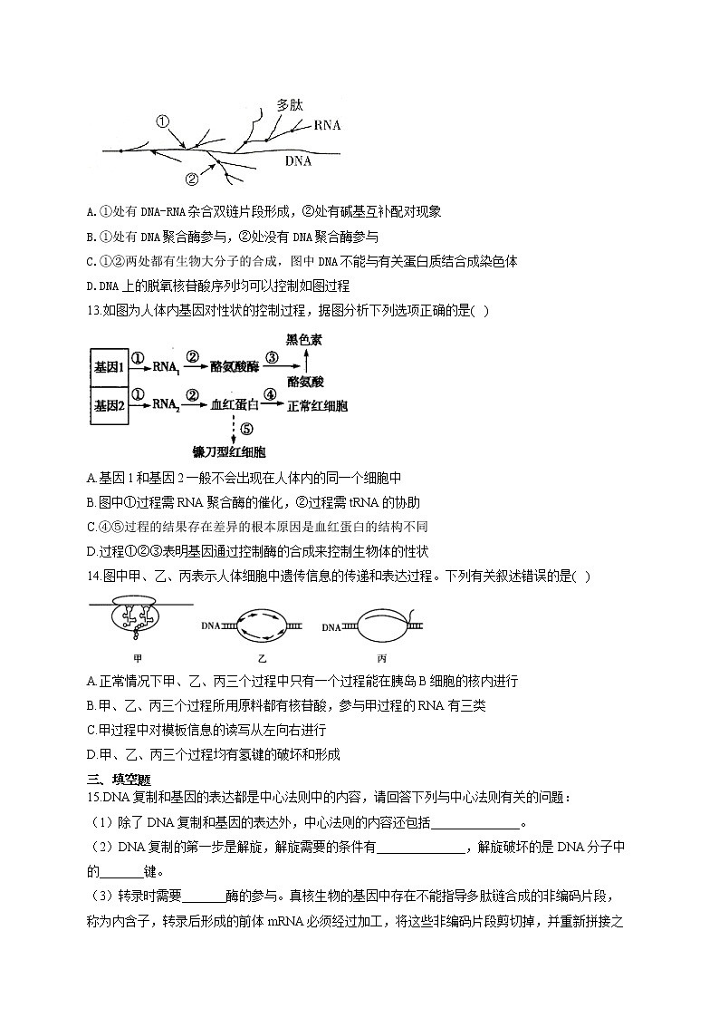 【新课标新高考】2022届高考生物二轮复习专题练AB卷 专题九 遗传的分子基础(A卷)第3页
