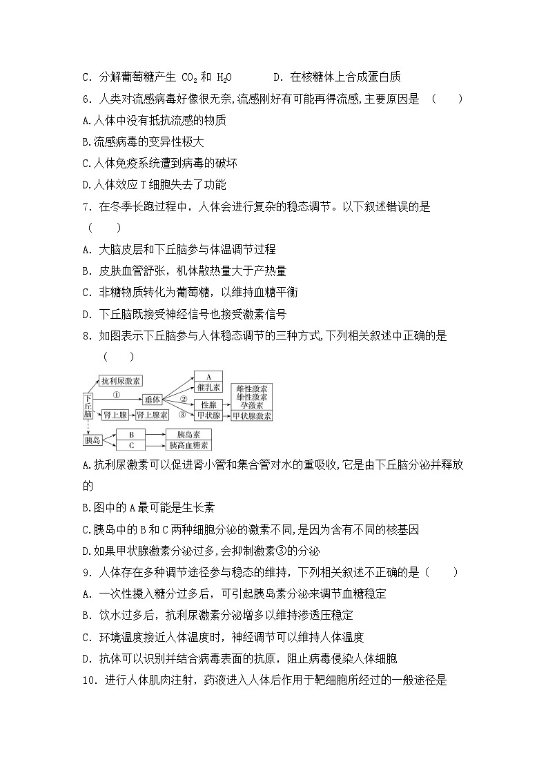 内蒙古集宁新世纪中学2021-2022学年高二上学期期中考试生物【试卷+答案】第2页