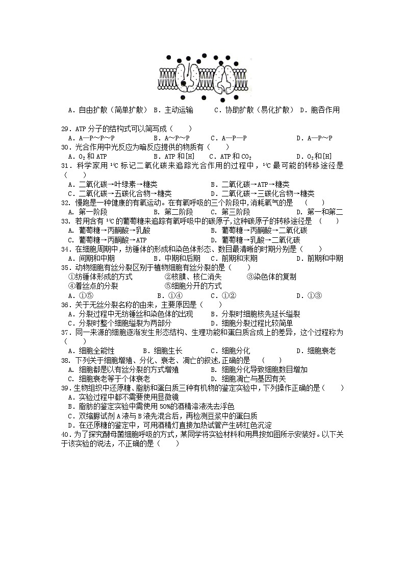 江苏省淮安市高中校协作体2021-2022学年高二上学期期中考试生物试卷含答案第3页