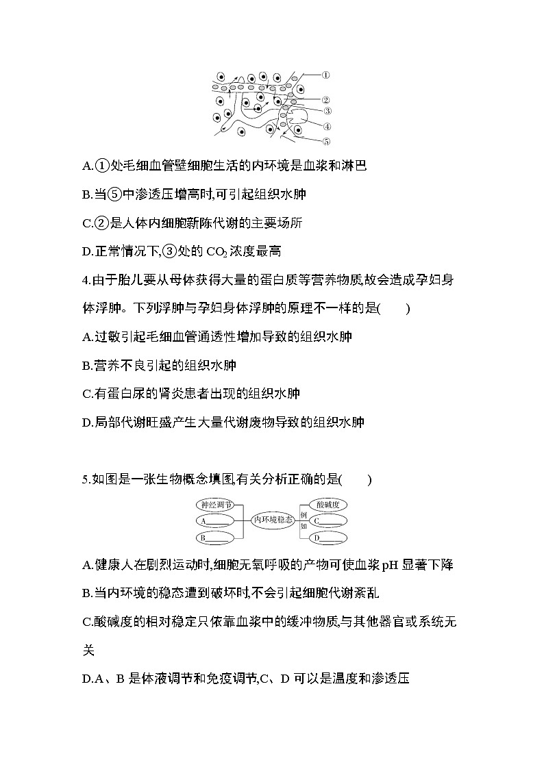 第1章　人體的內(nèi)環(huán)境與穩(wěn)態(tài)達標檢測第2頁