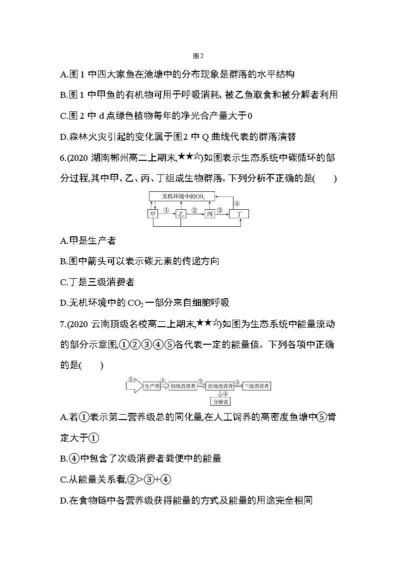 专题强化练5 种群、群落与生态系统的综合03