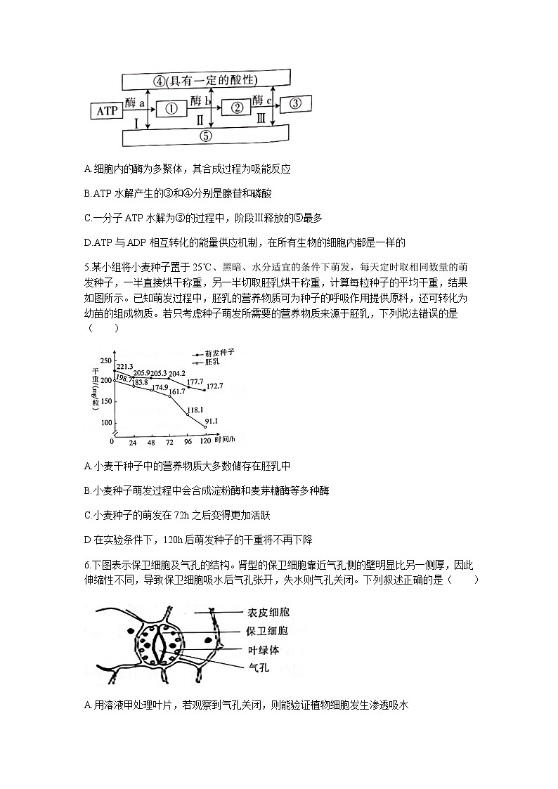 河北省邢台市“五岳联盟”部分重点学校2022届高三上学期期中考试生物试题含答案第2页
