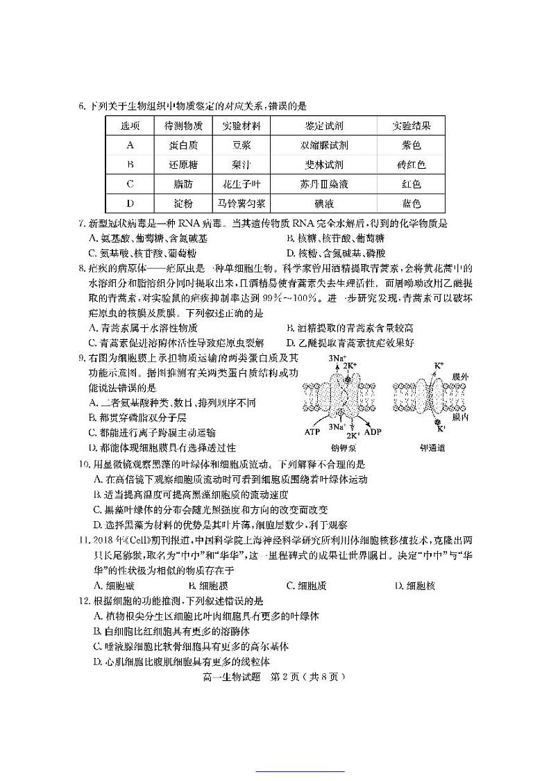 山东省聊城市2021-2022学年高一上学期期中考试生物试题PDF版含答案02