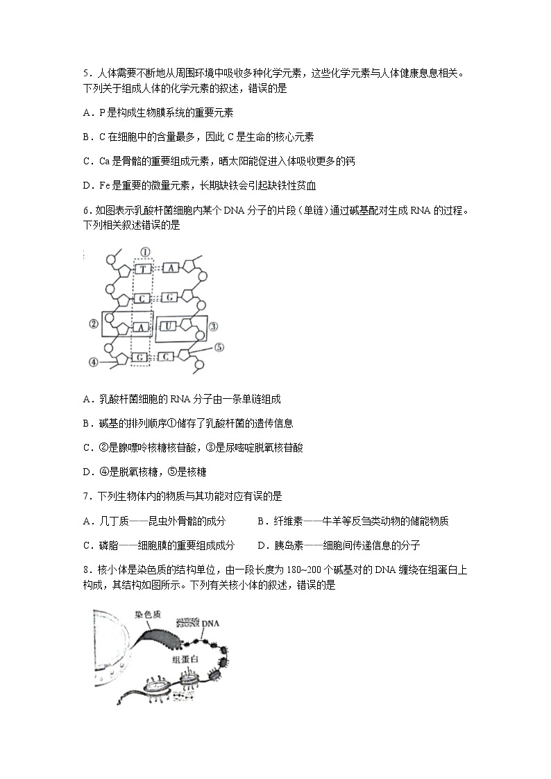 河南省2021-2022学年高一上学期期中考试生物试题含答案02