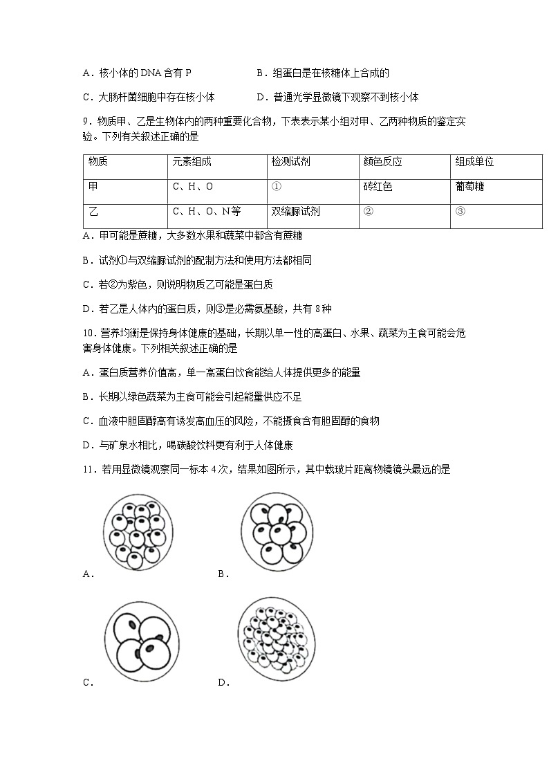 河南省2021-2022学年高一上学期期中考试生物试题含答案03