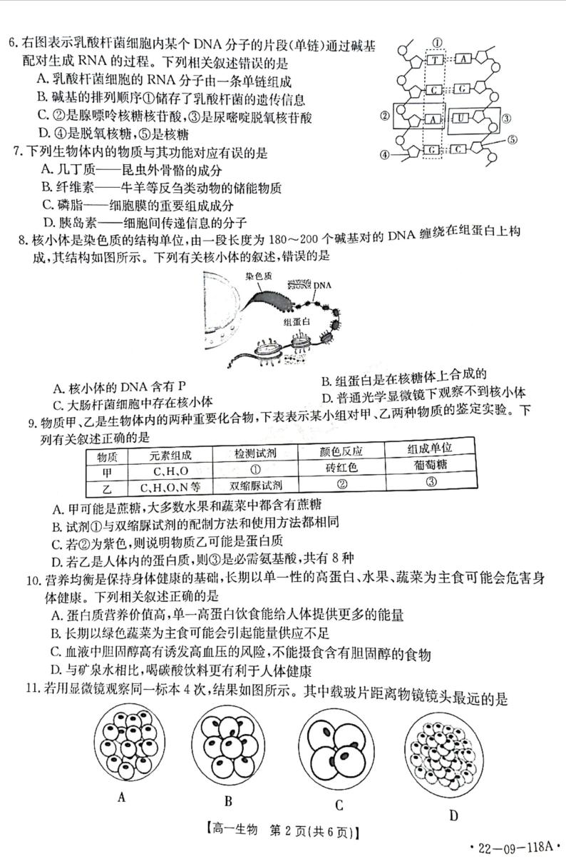 河南省2021-2022学年高一上学期期中考试生物试题扫描版含答案02