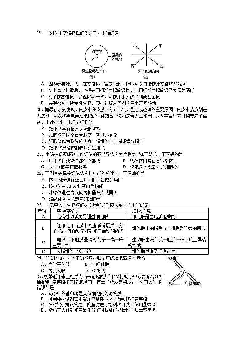 江苏省高邮市2021-2022学年高一上学期期中学情调研生物试卷含答案第3页