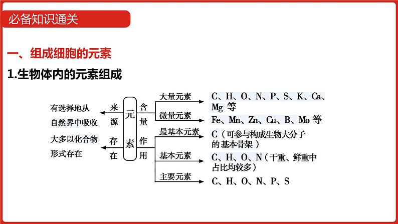 全国通用高中生物 一轮复习 第一单元 专题一 细胞分子的组成课件PPT第8页