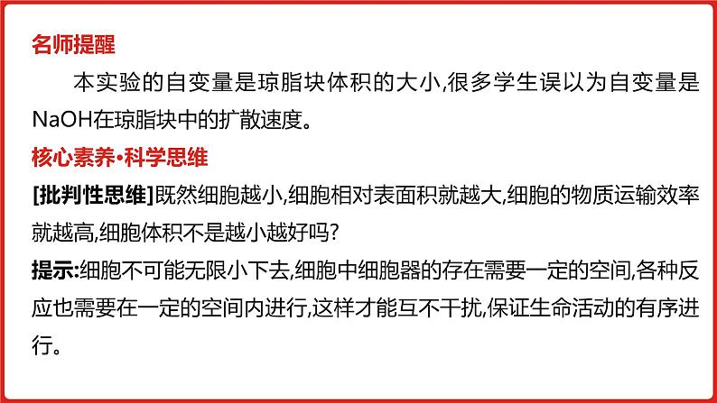 全国通用高中生物 一轮复习 第三单元 专题七 细胞的增殖课件PPT第8页