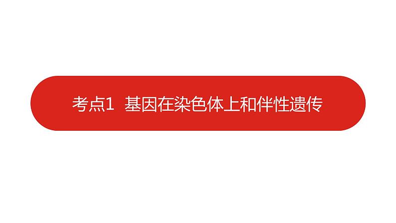 全国通用高中生物 一轮复习 第五单元 专题十三 伴性遗传与人类遗传病课件PPT第6页
