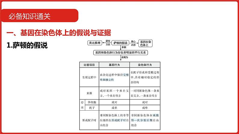 全国通用高中生物 一轮复习 第五单元 专题十三 伴性遗传与人类遗传病课件PPT第7页