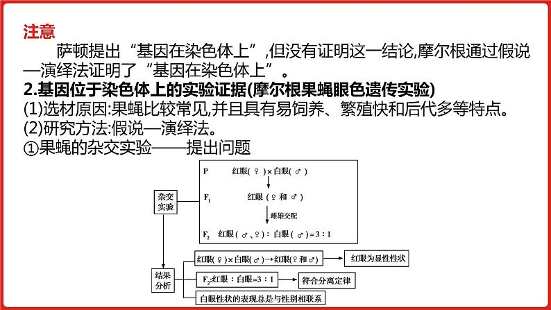 全国通用高中生物 一轮复习 第五单元 专题十三 伴性遗传与人类遗传病课件PPT第8页