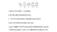 人教版 (新课标)必修2《遗传与进化》第二章 基因和染色体的关系综合与测试同步测试题