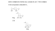 高中生物人教版 (新课标)必修2《遗传与进化》第1节 DNA是主要的遗传物质复习练习题