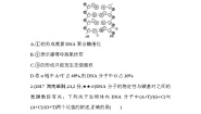 高中生物人教版 (新课标)必修2《遗传与进化》第4节 基因是有遗传效应的DNA片段测试题