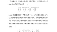 高中生物人教版 (新课标)必修2《遗传与进化》第三章 基因的本质综合与测试一课一练