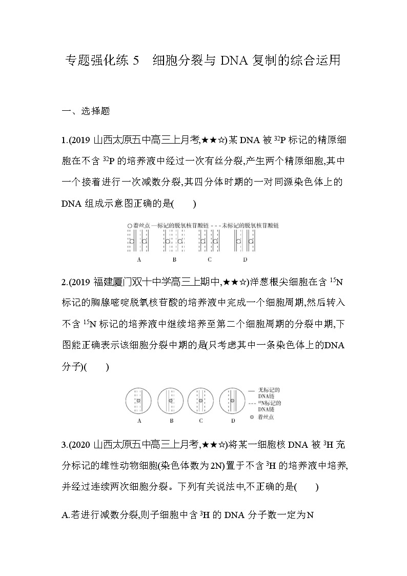 专题强化练5细胞分裂与DNA复制的综合运用01