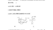 人教版 (新课标)必修2《遗传与进化》第四章 基因的表达第1节 基因指导蛋白质的合成第2课时练习题