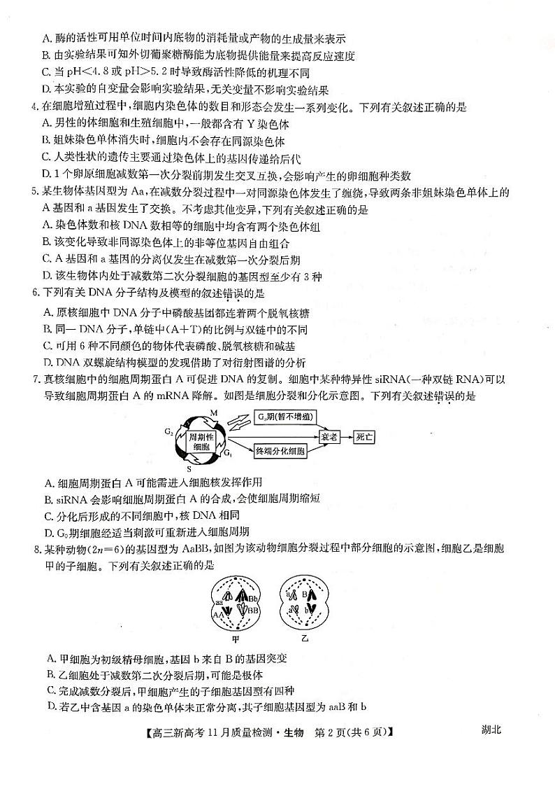 湖北省部分学校2021-2022学年高三上学期11月质量检测生物试题02