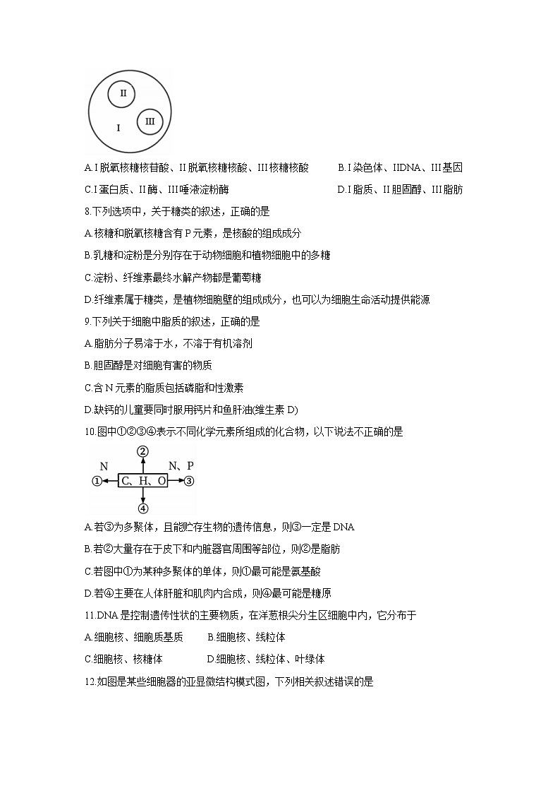 江苏省徐州市沛县2021-2022学年高二上学期第一次学情调研生物(必修)含答案 试卷02