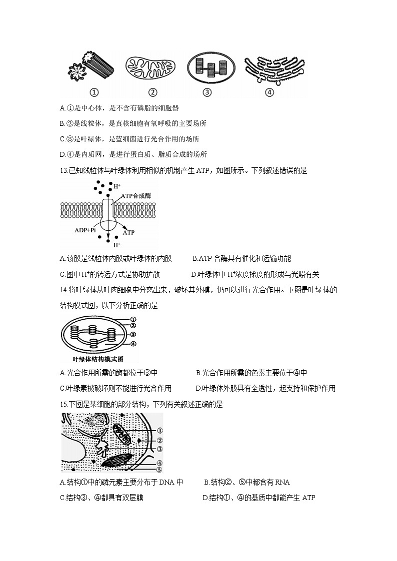 江苏省徐州市沛县2021-2022学年高二上学期第一次学情调研生物(必修)含答案 试卷03