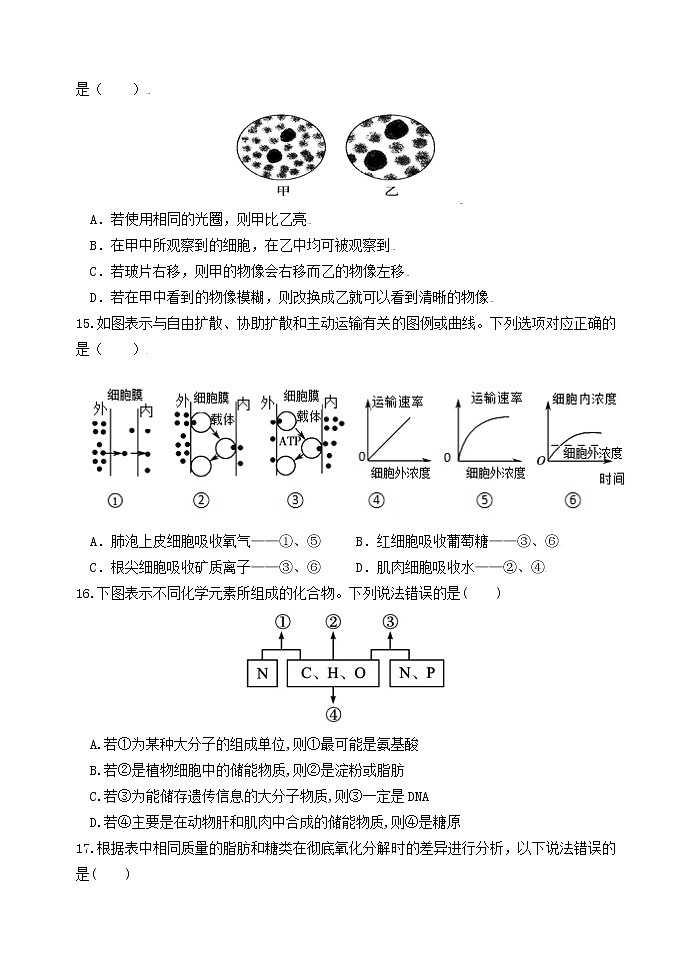 甘肃省天水市一中2021-2022学年高一上学期第二学段考试生物试题含答案第3页
