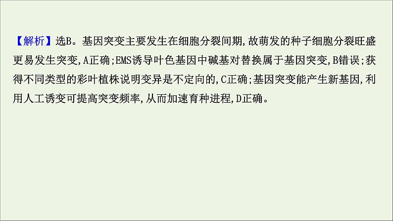 江苏专用2022版高考生物一轮复习课时作业二十基因突变及基因重组课件苏教版第5页