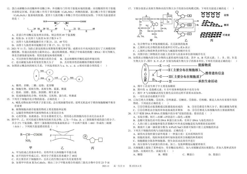 四川省成都市树德中学2021-2022学年高一上学期11月阶段性测试（期中）生物试题PDF版含答案02