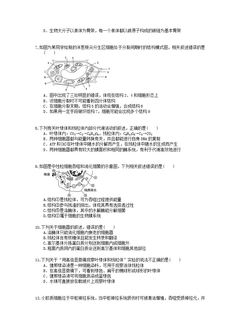 2022年高考生物一轮考点精选练习06《细胞器-系统内的分工合作》(含详解)第2页