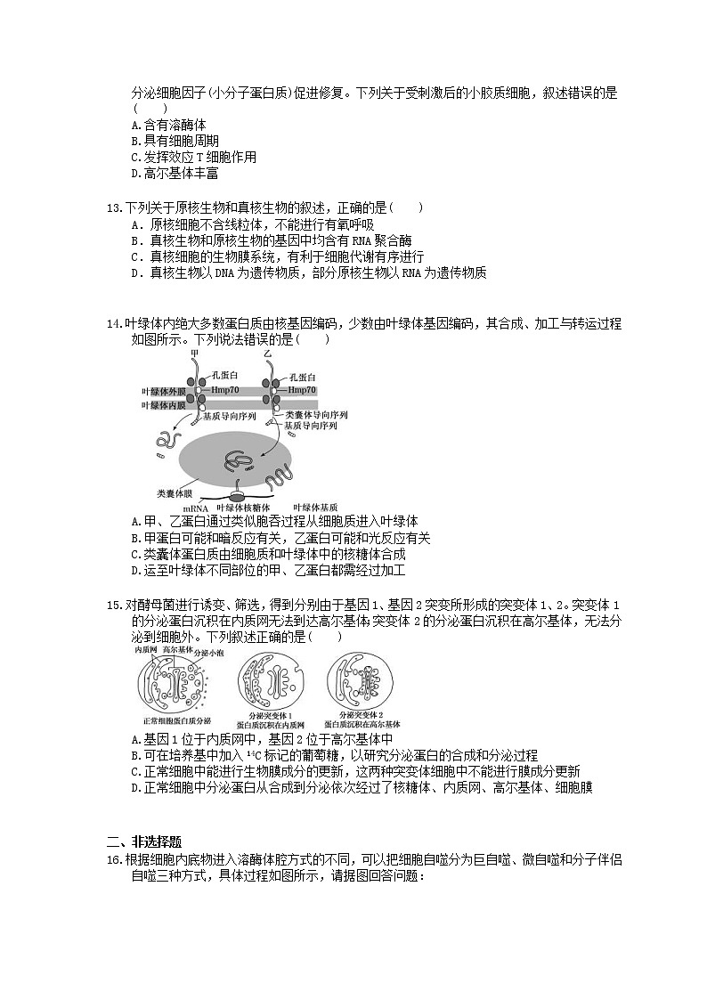 2022年高考生物一轮考点精选练习06《细胞器-系统内的分工合作》(含详解)第3页