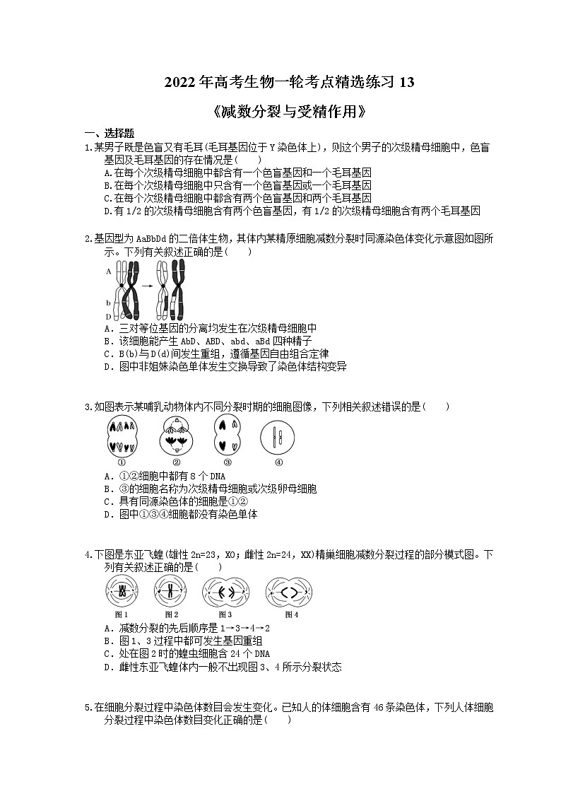 2022年高考生物一轮考点精选练习13《减数分裂与受精作用》(含详解)第1页
