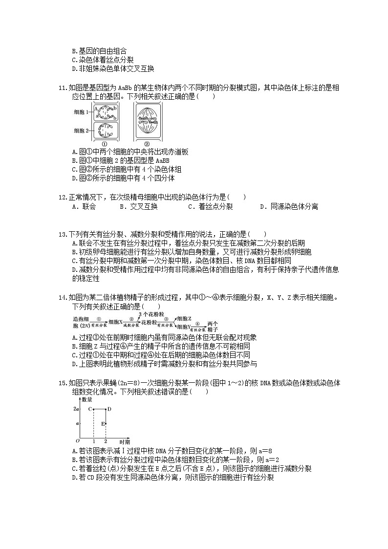 2022年高考生物一轮考点精选练习13《减数分裂与受精作用》(含详解)第3页