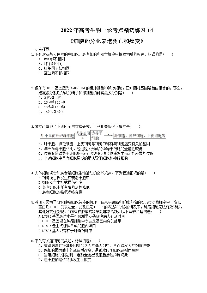 2022年高考生物一轮考点精选练习14《细胞的分化衰老凋亡和癌变》(含详解)第1页