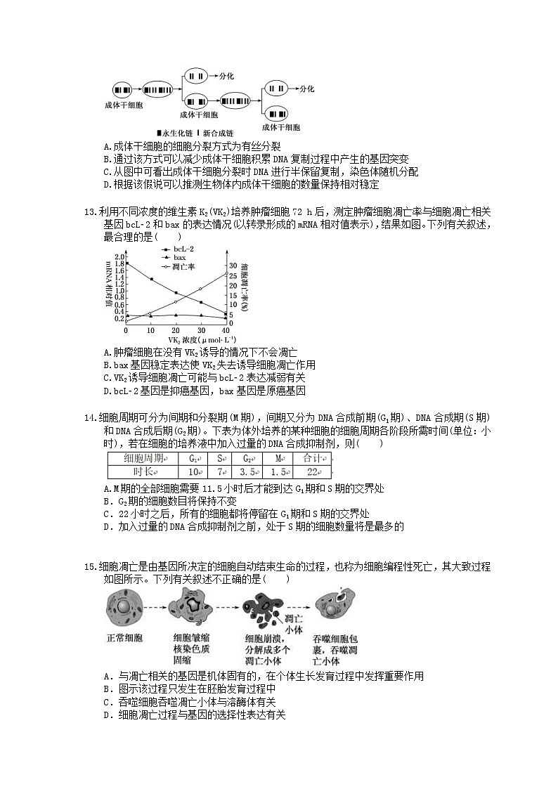 2022年高考生物一轮考点精选练习14《细胞的分化衰老凋亡和癌变》(含详解)第3页