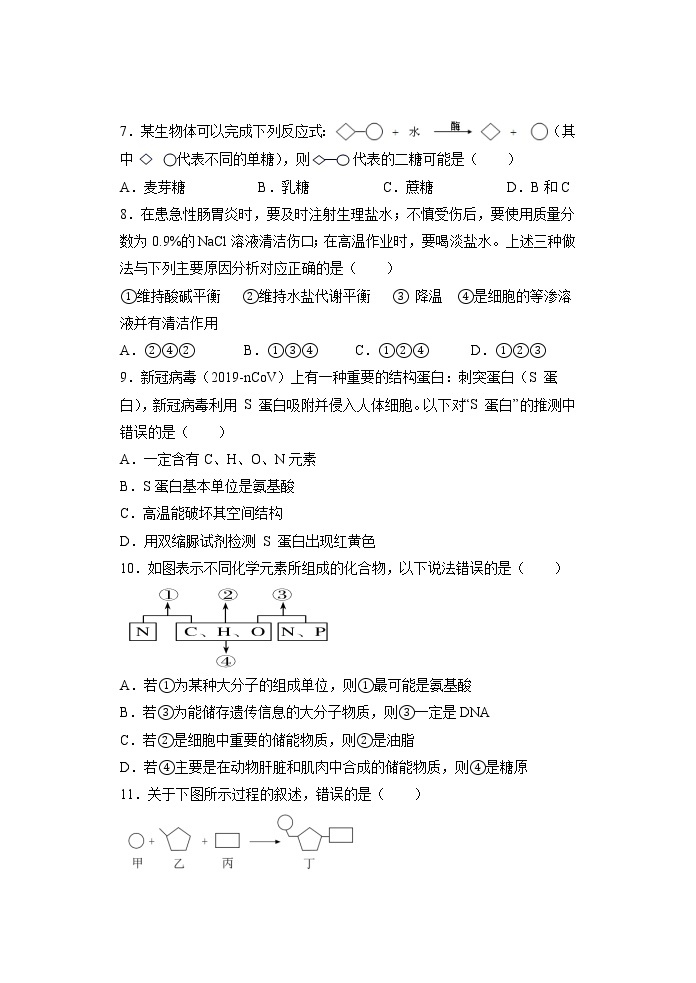 2021-2022学年（人教版2019必修1）高一生物上学期期末诊断性测试卷03（Word版含答案）03