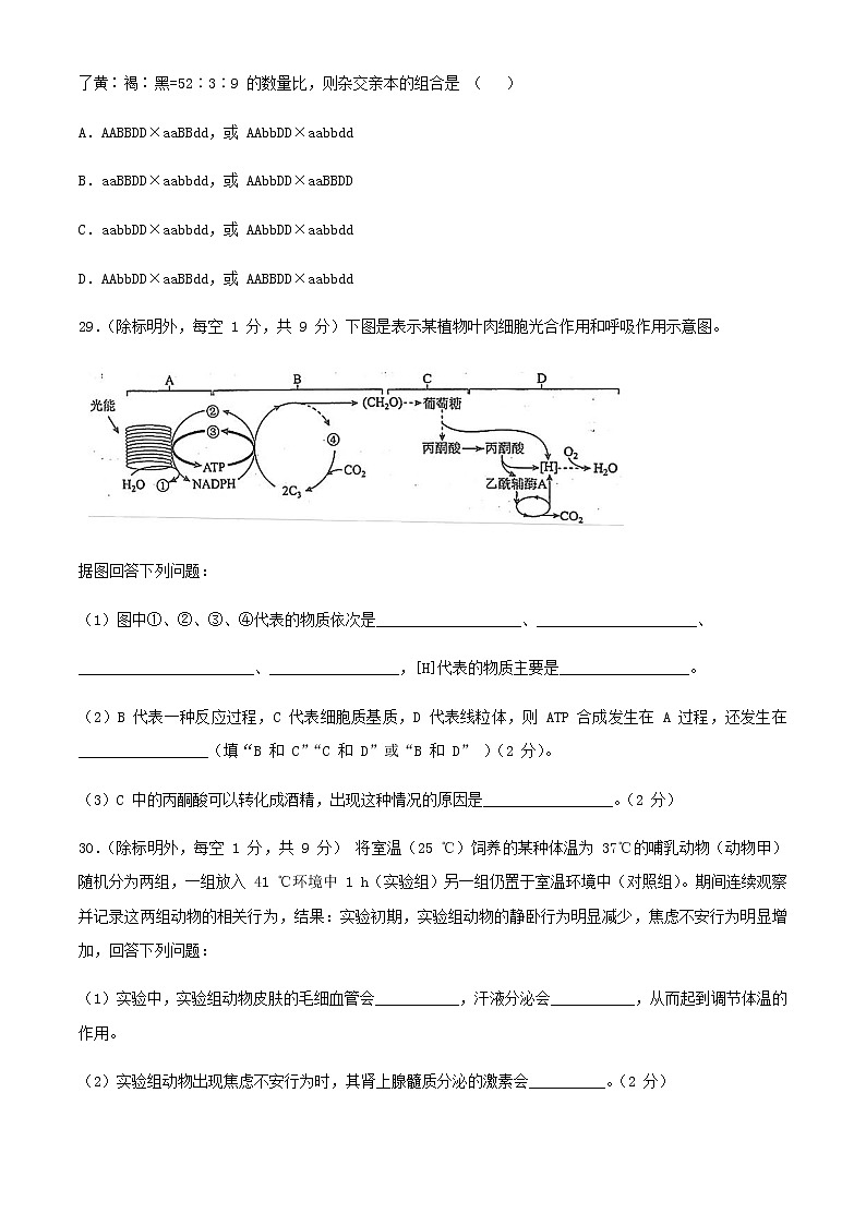 内蒙古鄂尔多斯市2020学高三第一次模拟考试生物试题03