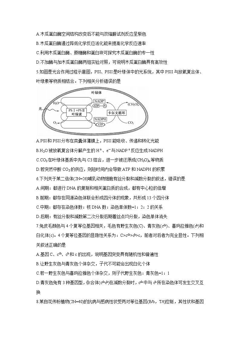 安徽省九师联盟2022届高三上学期11月联考生物含答案第2页