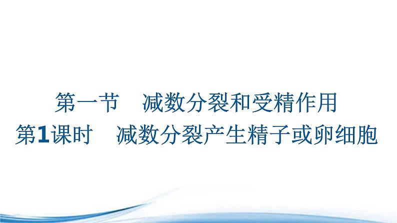 减数分裂产生精子或卵细胞PPT课件免费下载01