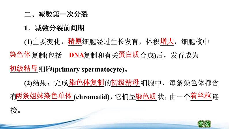 减数分裂产生精子或卵细胞PPT课件免费下载05