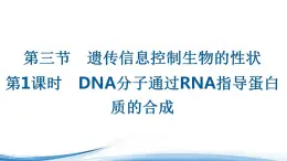 DNA分子通过RNA指导蛋白质的合成PPT课件免费下载