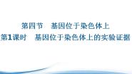 基因位于染色体上的实验证据PPT课件免费下载