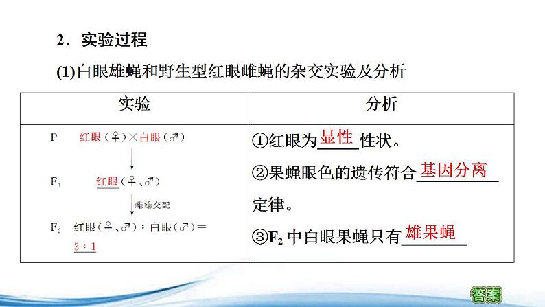 基因位于染色体上的实验证据PPT课件免费下载05