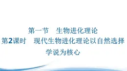 现代生物进化理论以自然选择学说为核心PPT课件免费下载