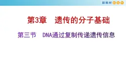 DNA通过复制传递遗传信息PPT课件免费下载