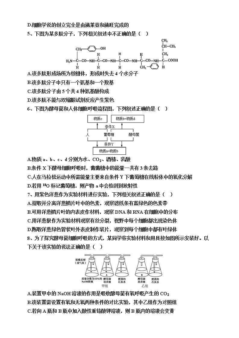 2022届黑龙江省佳木斯市第一中学高三上学期第四次调研考试 生物练习题第2页