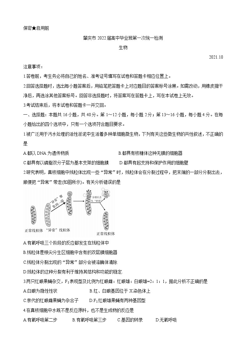 2022届广东省肇庆市高三上学期第一次统一检测(10月) 生物(word版含有答案)01