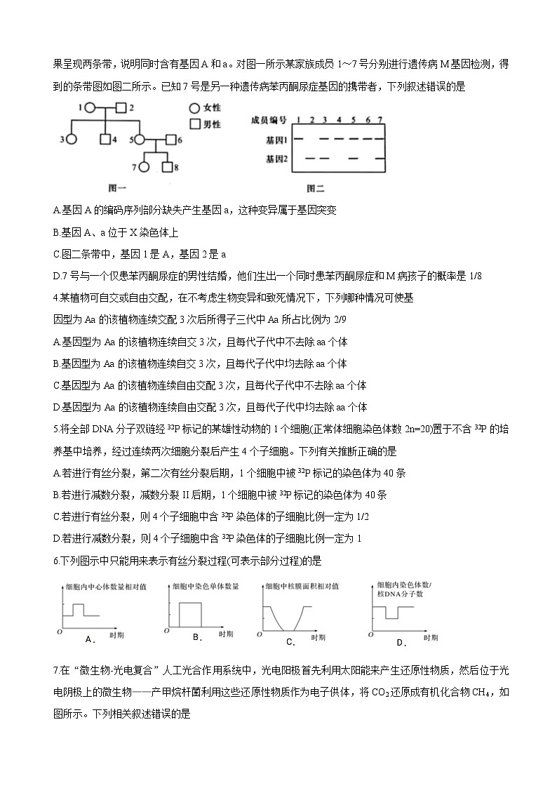 2022届新疆维吾尔自治区喀什市高三上学期全真模拟 生物word版含答案练习题第2页