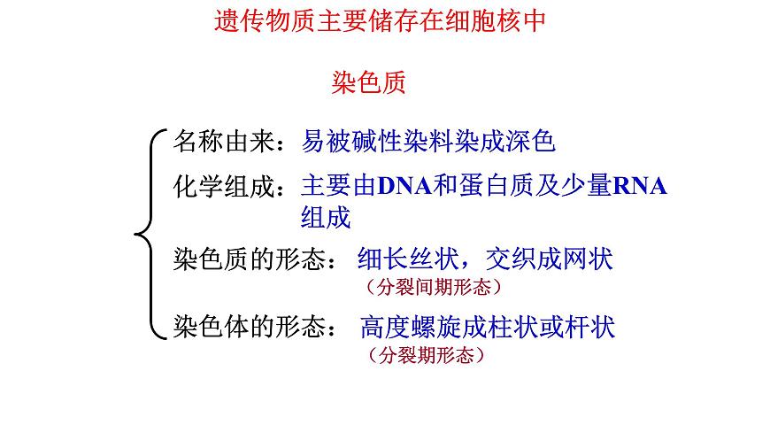 浙科版（2019）高中地理必修一2.4 細(xì)胞核是細(xì)胞生命活動的控制中心 課件(共21張PPT).第8頁